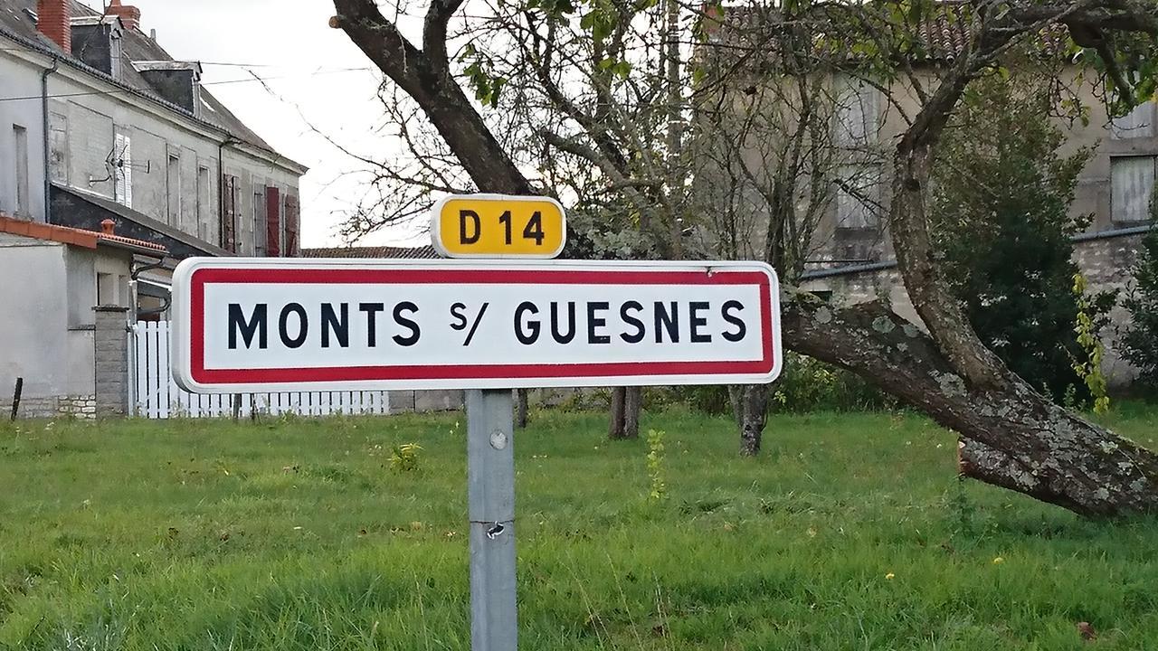 L'Olivier Villa Monts-sur-Guesnes Exterior photo