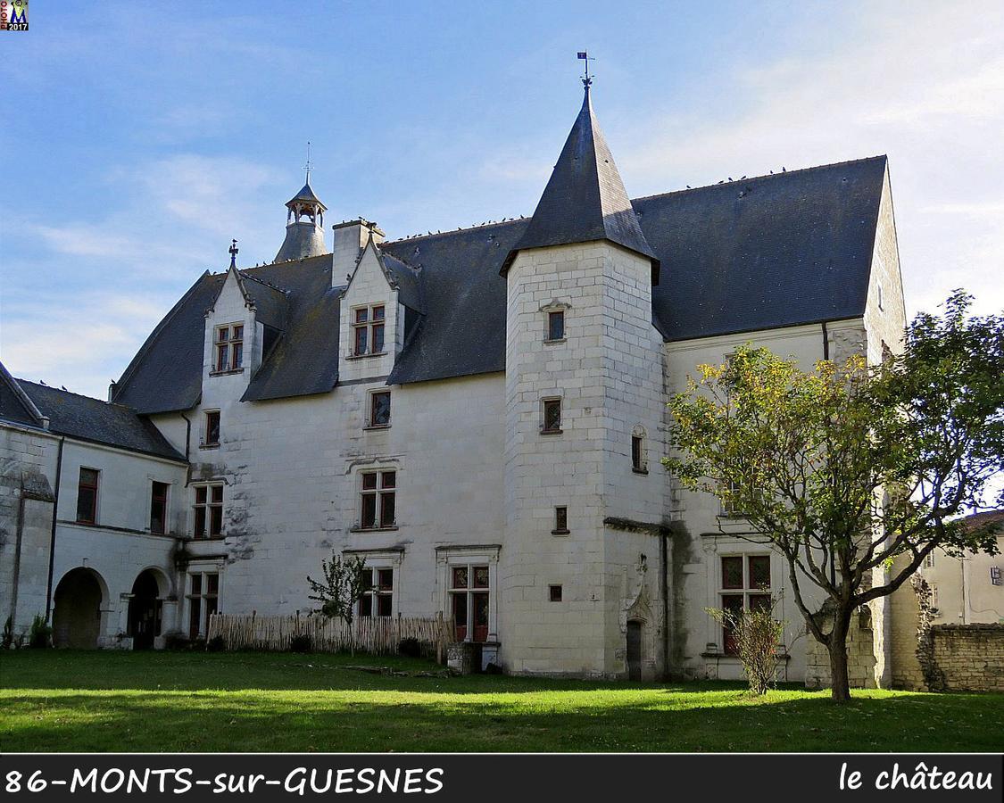 L'Olivier Villa Monts-sur-Guesnes Exterior photo
